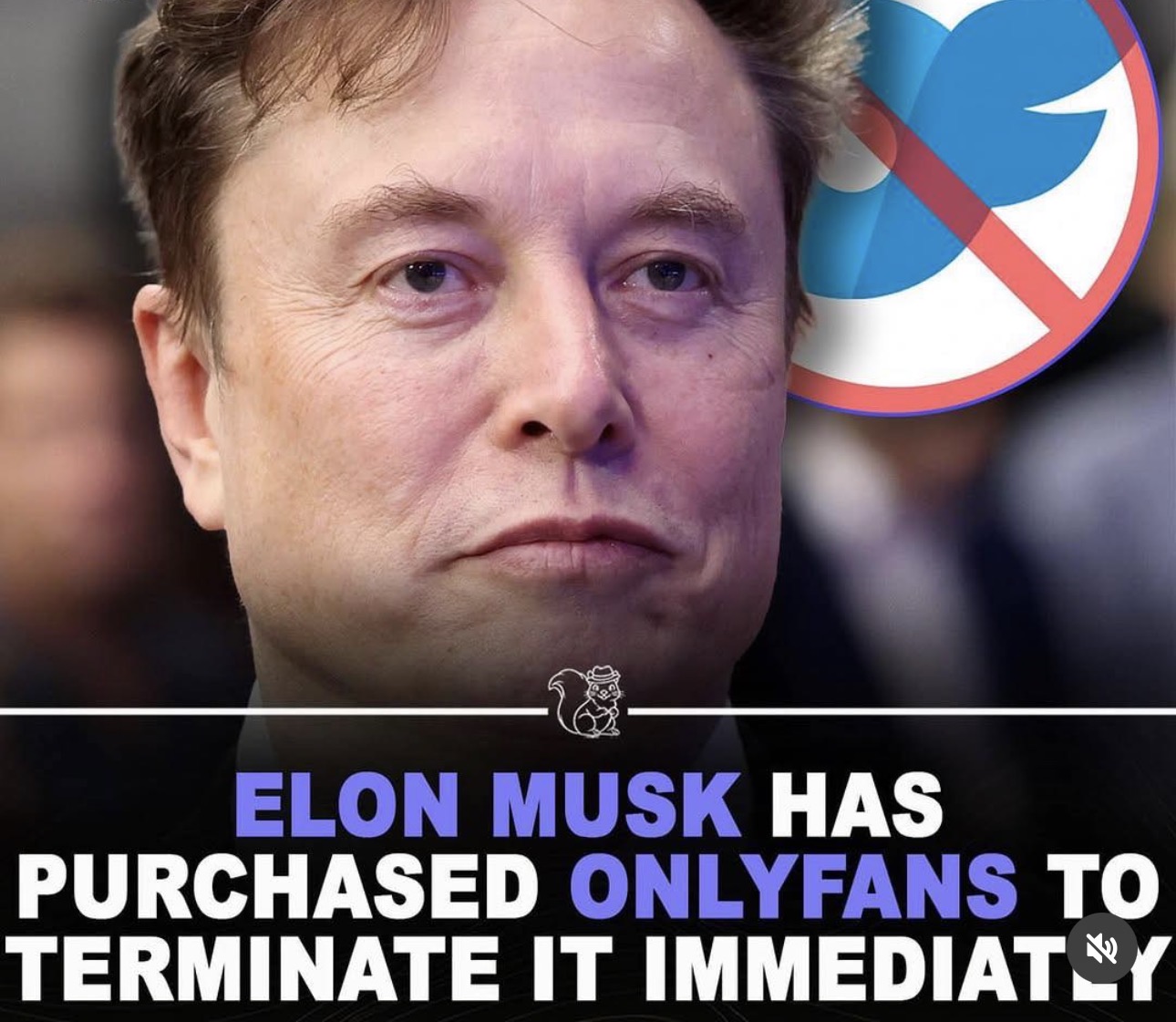 &
ELON MUSK HAS
PURCHASED ONLYFANS TO
TERMINATE IT IMMEDIATY